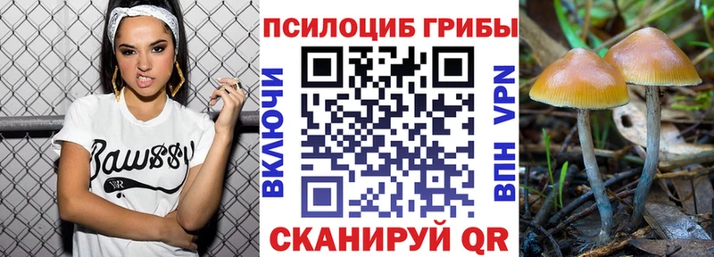 Псилоцибиновые грибы GOLDEN TEACHER  kraken зеркало  Сасово  закладка 